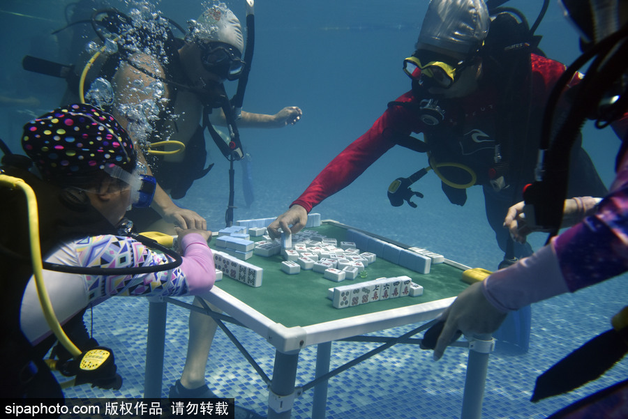 Word天！麻將或成為2022年冬奧會(huì)表演項(xiàng)目 中國(guó)國(guó)粹風(fēng)靡全球歪果仁也愛(ài)玩