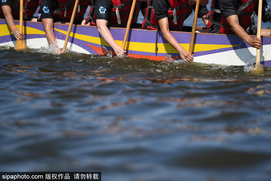 第27屆紐約香港龍舟節開幕 200支隊伍奮力角逐