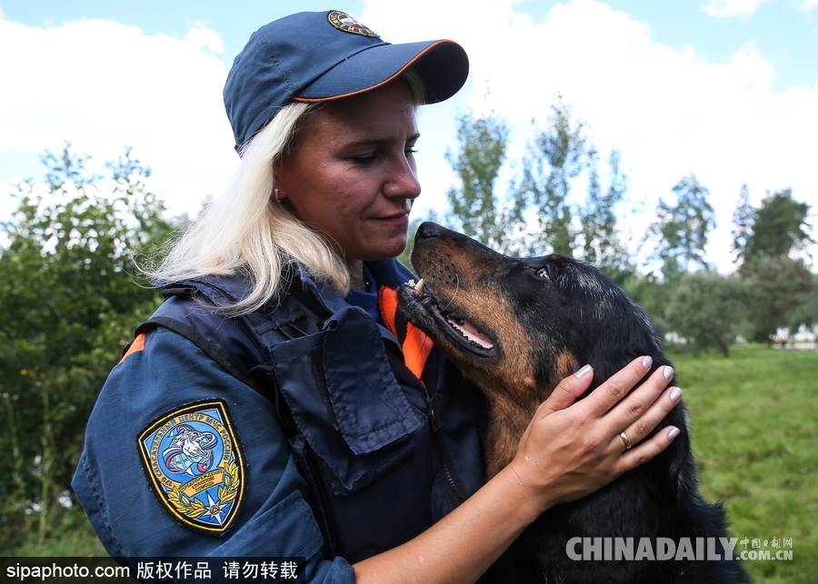 走進救援“特種兵”的成長 俄羅斯搜救犬進行訓練測試