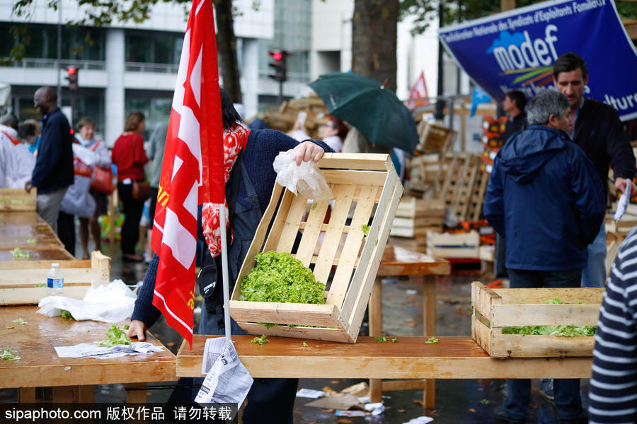 歐洲毒雞蛋丑聞之際 法國(guó)“農(nóng)夫市集”直銷蔬果搶購(gòu)一空