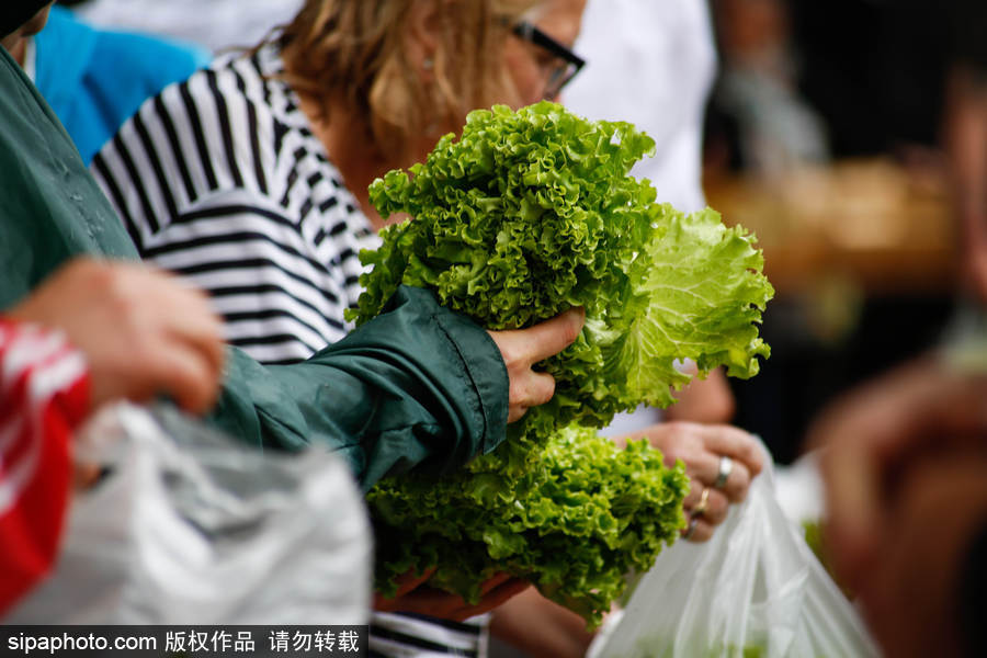 歐洲毒雞蛋丑聞之際 法國“農夫市集”直銷蔬果搶購一空