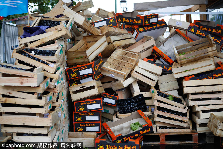 歐洲毒雞蛋丑聞之際 法國(guó)“農(nóng)夫市集”直銷(xiāo)蔬果搶購(gòu)一空