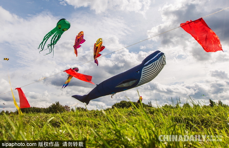俄羅斯莫斯科舉行風箏節 色彩繽紛歡樂十足
