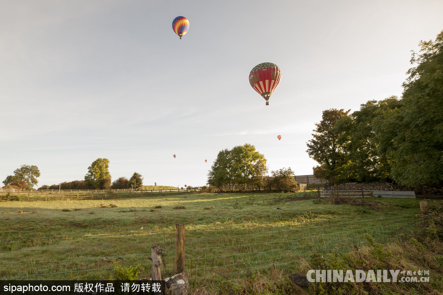 愛爾蘭舉行熱氣球錦標賽 色彩點綴天空場景浪漫