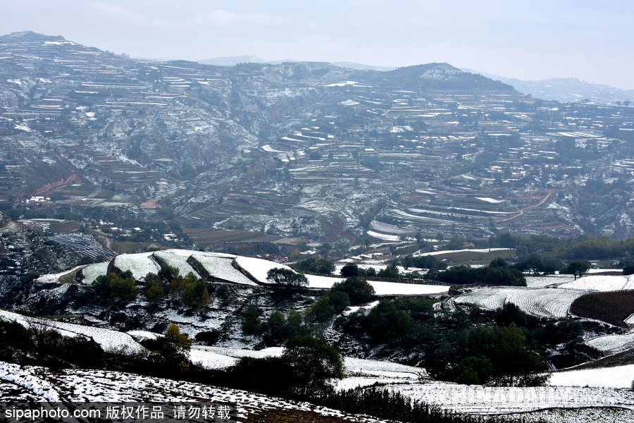 甘肅迎來(lái)雨雪天氣 雪落梯田景致宛如水墨畫