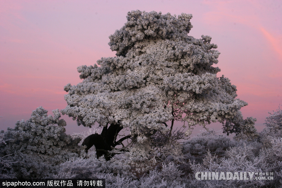 降溫雪韻至 盤點(diǎn)最平凡的冬日美景