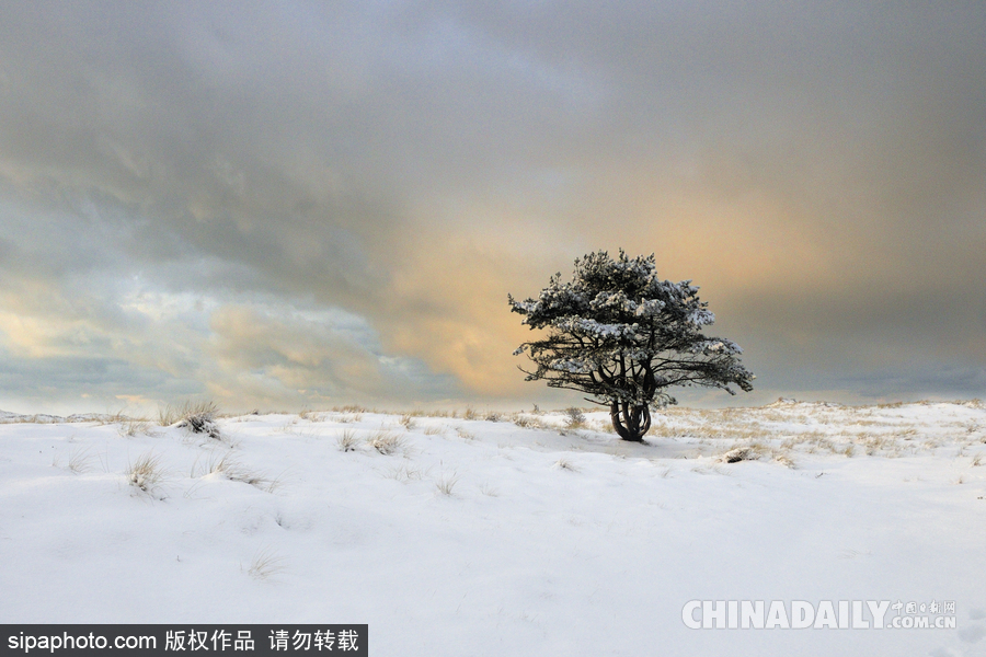 降溫雪韻至 盤點最平凡的冬日美景