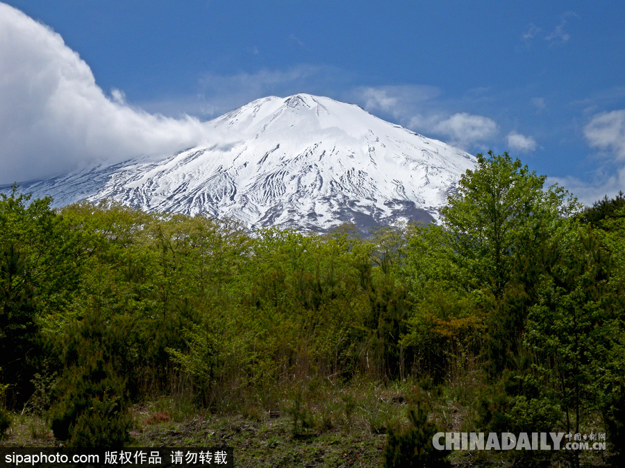 降溫雪韻至 盤(pán)點(diǎn)最平凡的冬日美景