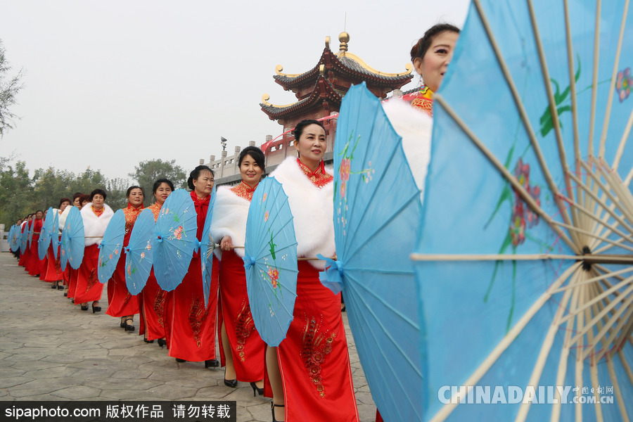 山東濱州：驚艷重陽節 千名中老年旗袍愛好者走秀