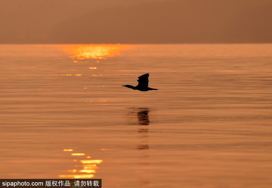 靜謐的海邊城市 俄羅斯海參崴初冬風光