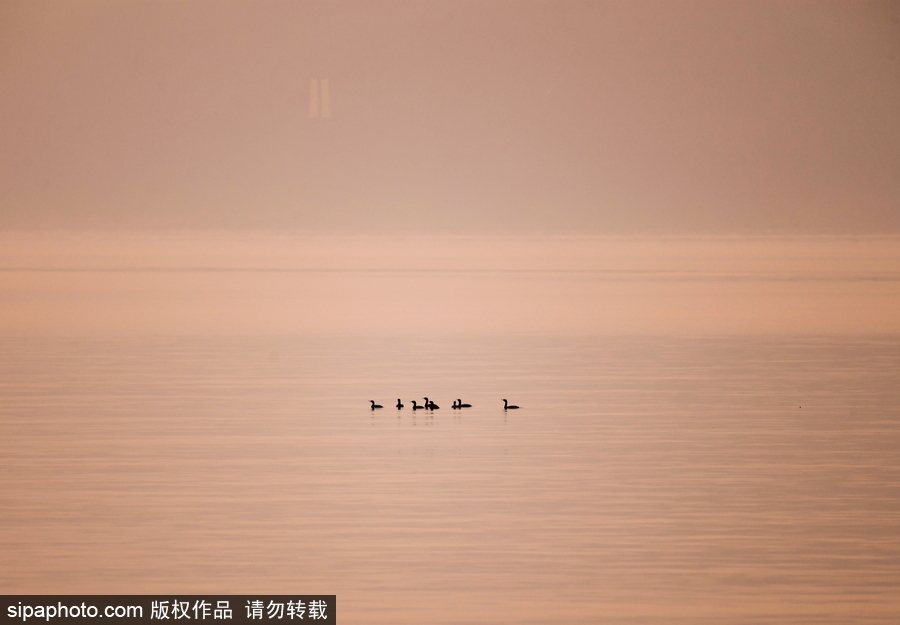 靜謐的海邊城市 俄羅斯海參崴初冬風光