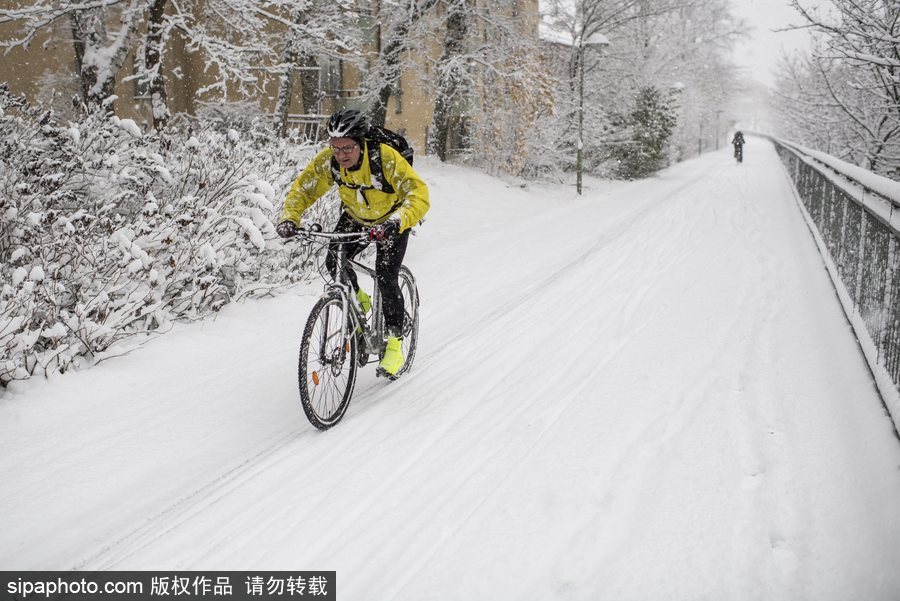 瑞典迎來今年第一場降雪 嚴重影響當?shù)亟煌?/></p>

<p align=
