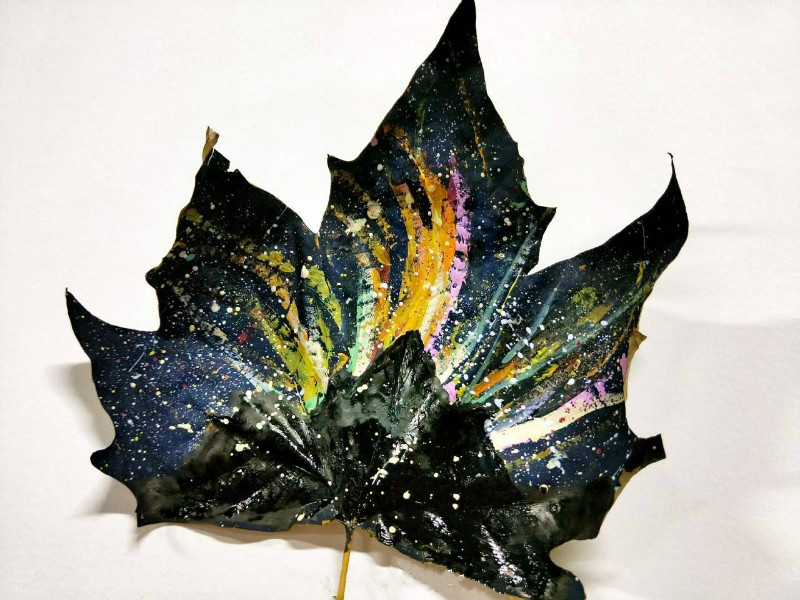 一葉一世界 山西傳媒學院學生落葉上作畫