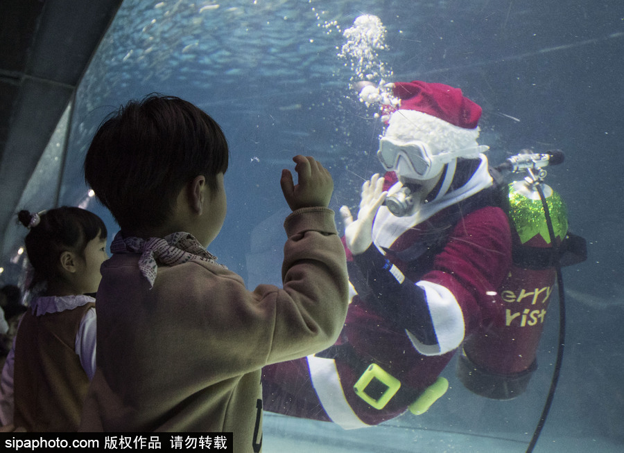 圣誕老人無(wú)處不在 韓國(guó)潛水員穿圣誕裝與魚(yú)群共舞