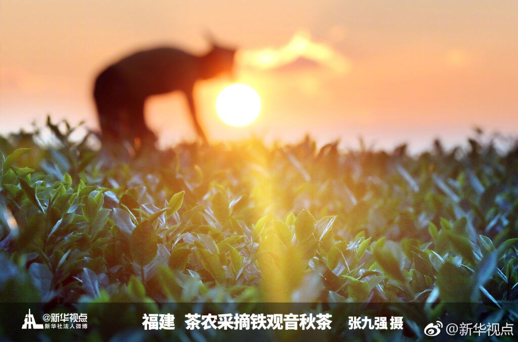 美，源自生活