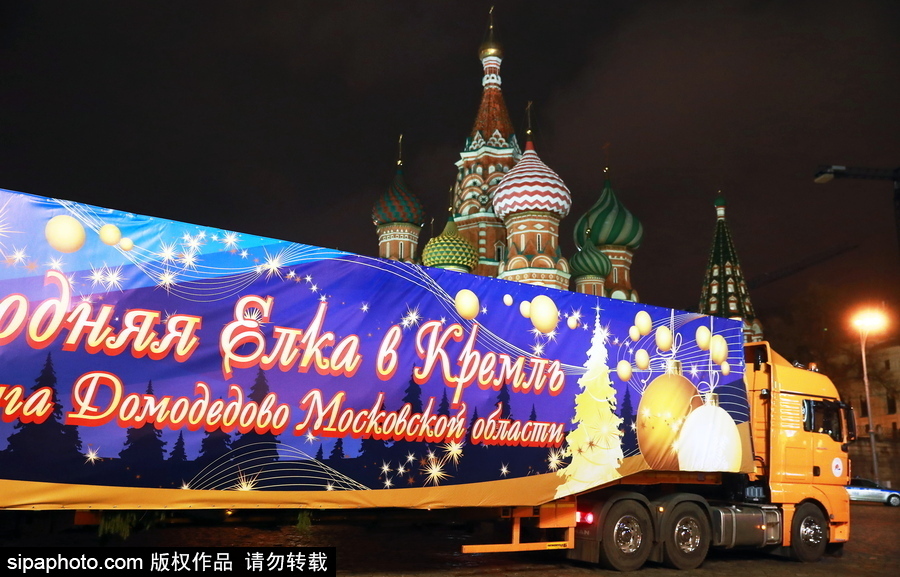 迎接圣誕節！ 巨型圣誕樹搭乘卡車運抵克里姆林宮