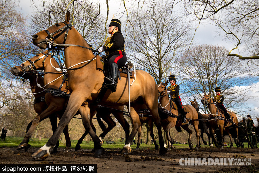 英女王登基66周年紀念 皇家騎兵炮兵團發射41響禮炮慶祝
