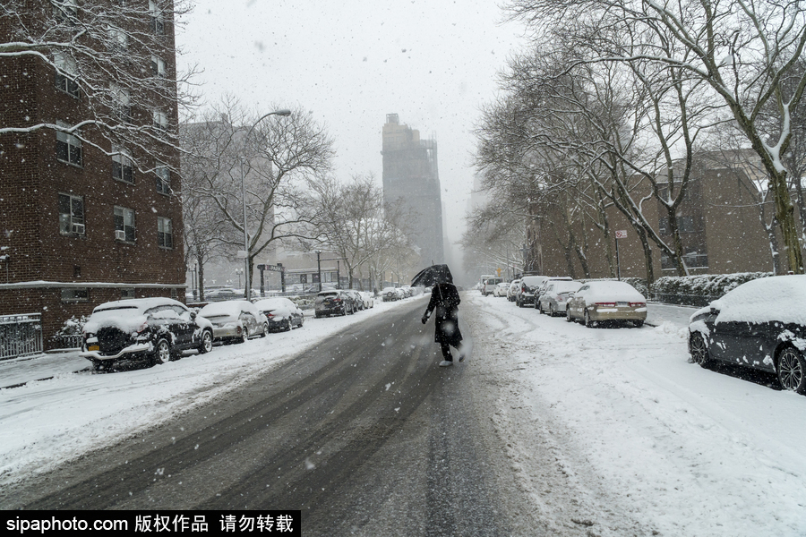 這波倒春寒來的迅猛！美國紐約遭遇暴雪天氣