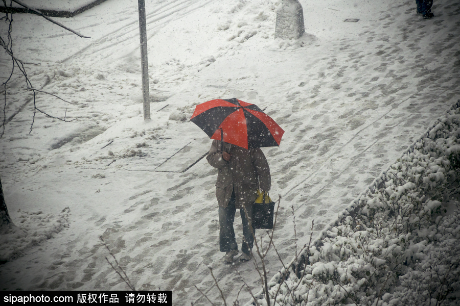 這波倒春寒來的迅猛！美國紐約遭遇暴雪天氣
