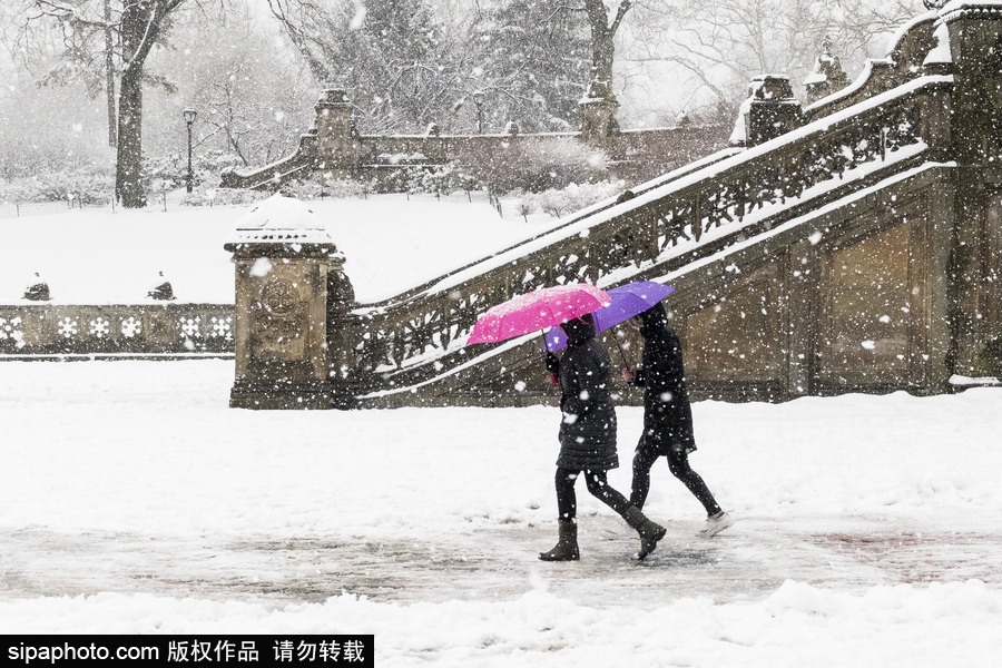 這波倒春寒來的迅猛！美國紐約遭遇暴雪天氣