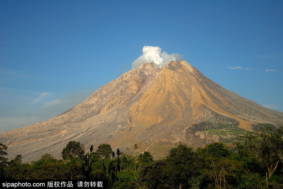 印尼錫納朋火山暫時趨于平緩 農民菜田淡定勞作