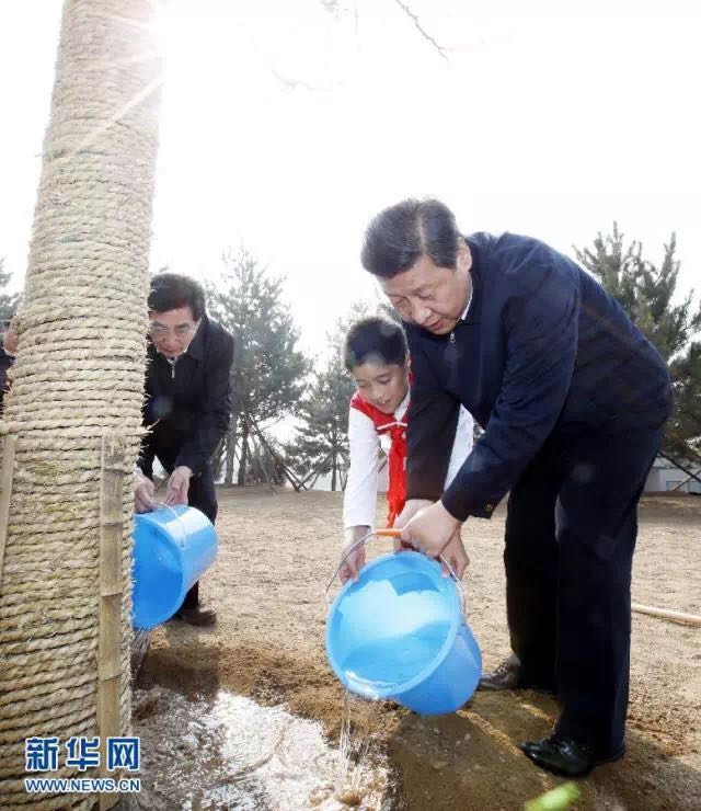 這件天下大事，看習(xí)近平是如何從“種一棵樹”做起的
