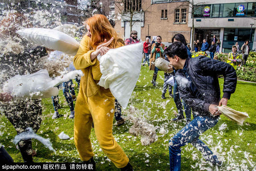 國際枕頭大戰日 荷蘭鹿特丹民眾街頭狂歡