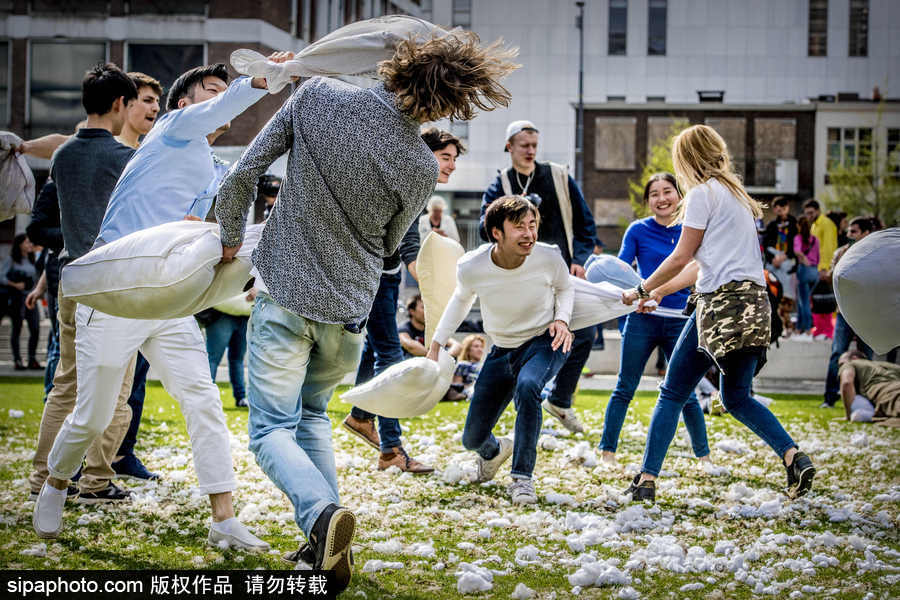 國際枕頭大戰日 荷蘭鹿特丹民眾街頭狂歡