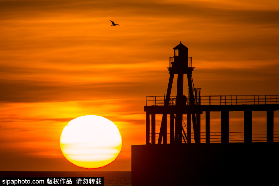 英國惠特比碼頭日出風(fēng)光 燈塔影影綽綽景色美