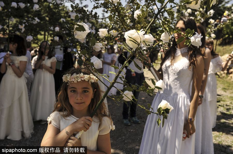 西班牙小鎮慶祝傳統節日 百名白衣“圣女”舉鮮花游行