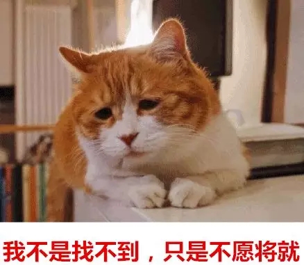 你單身的原因找到了！最新調(diào)查：七成人不愿將就，半數(shù)男生看臉