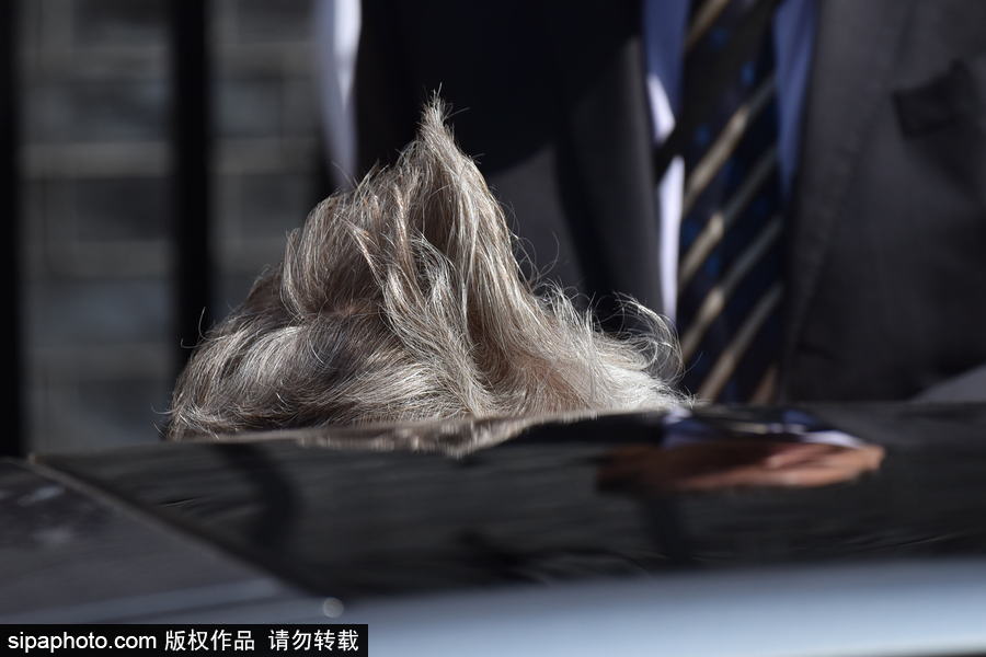 英國首相特麗莎·梅現身唐寧街 頭發在風中凌亂秒變“雞冠”