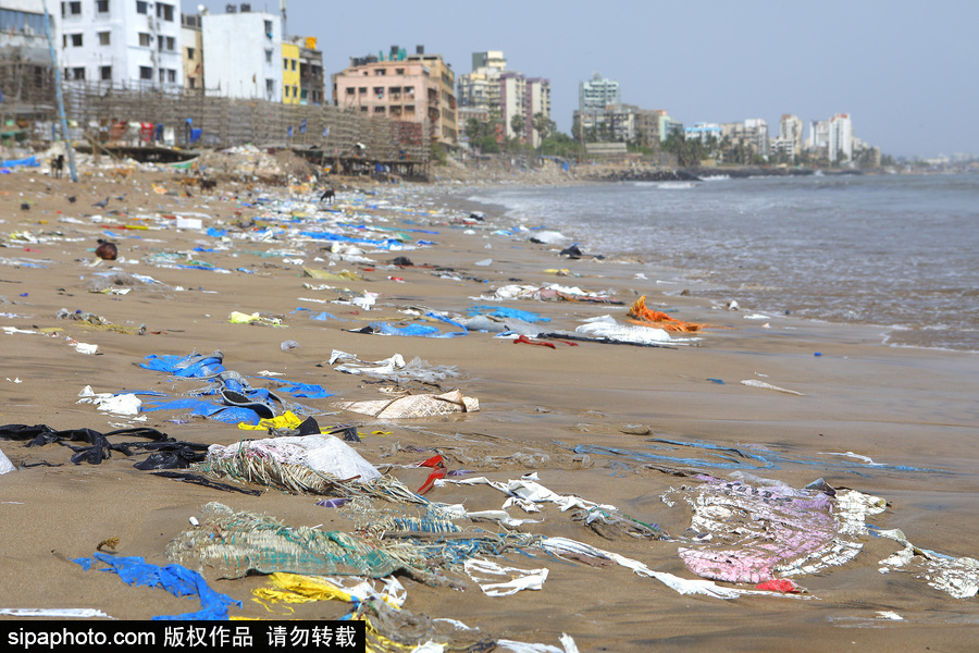 印度海灘成垃圾場 環保志愿者數年如一日堅持清理