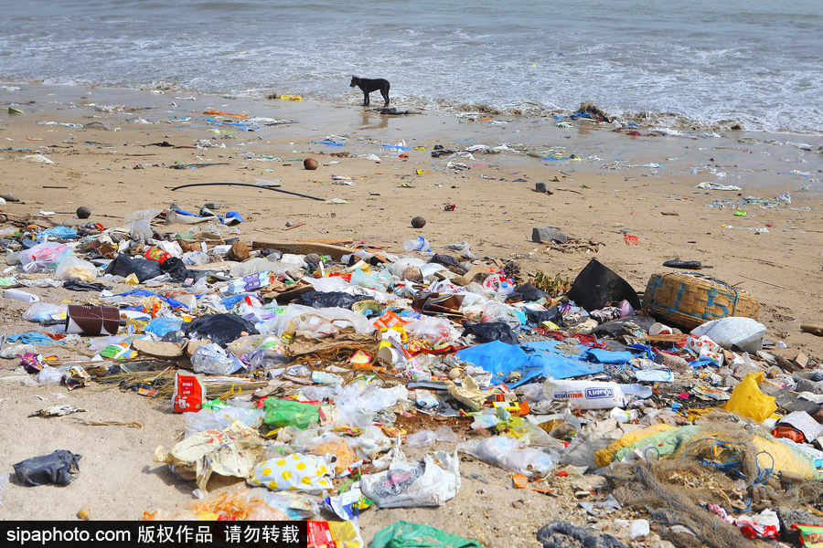 印度海灘成垃圾場 環保志愿者數年如一日堅持清理