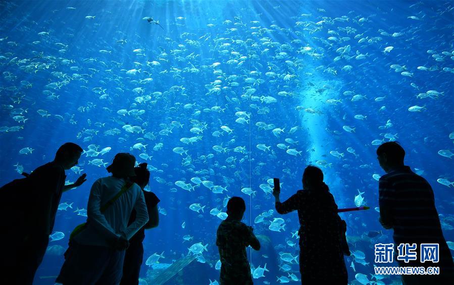 海南打造國際旅游消費中心