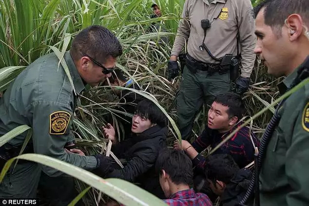 伊萬卡曬出這張照片被狂噴，要怪全怪她老爹特朗普？
