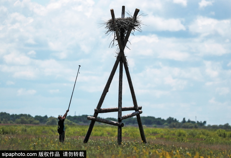 遠(yuǎn)離塵囂的動物棲息地 探訪俄羅斯別廖佐夫斯基自然保護區(qū)