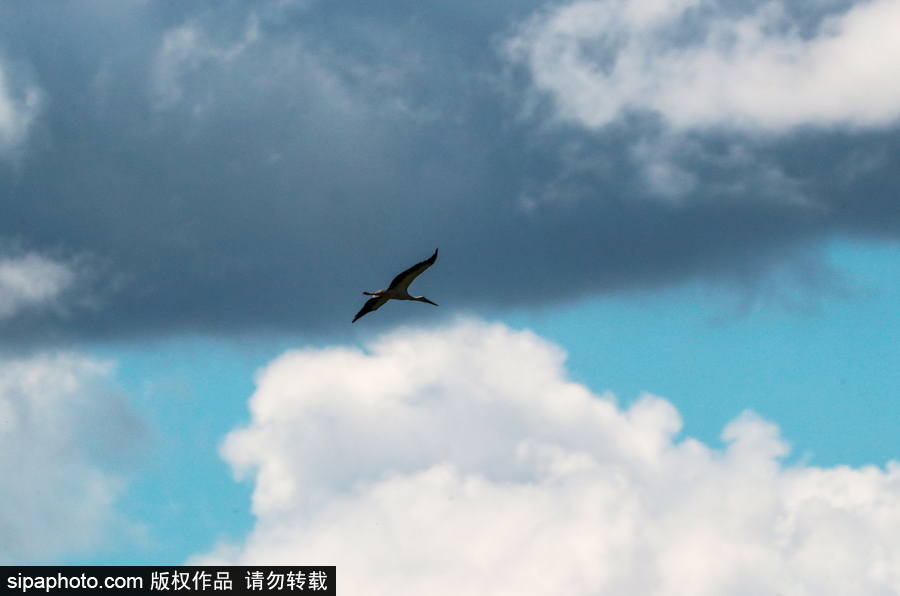 遠(yuǎn)離塵囂的動物棲息地 探訪俄羅斯別廖佐夫斯基自然保護區(qū)