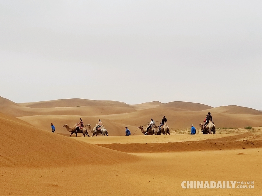 沙漠里的綠洲 打造沙漠生態旅游新亮點