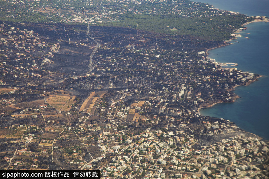 希臘山火過(guò)后的大地 一片黑色焦土