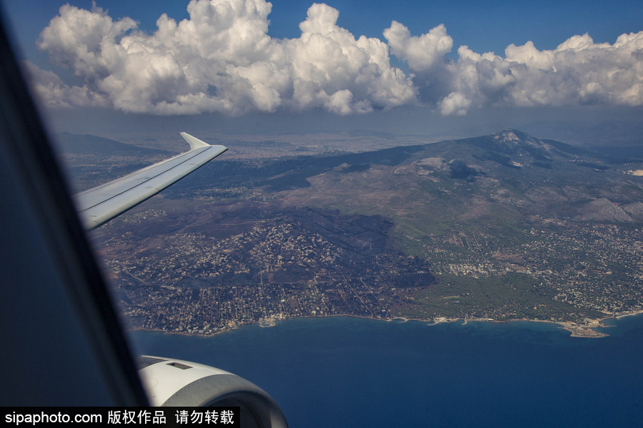 希臘山火過后的大地 一片黑色焦土