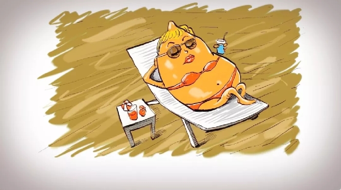 身為堅果，生活不易 | Animation: For a nut, life is hard
