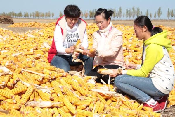 阿榮旗糧產創紀錄，13億人每人又多三斤糧
