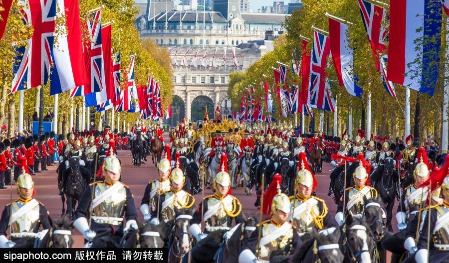 荷蘭國王攜王后對英國倫敦進(jìn)行國事訪問 英國女王出席歡迎儀式