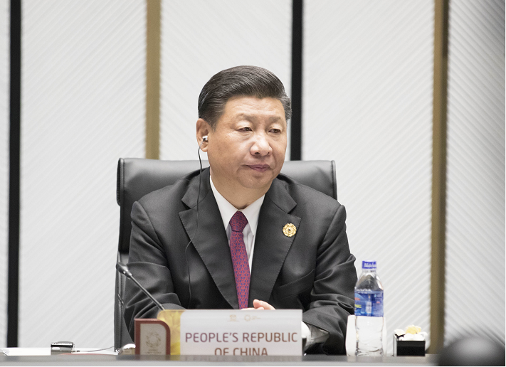 習近平出席亞太經合組織第二十五次領導人非正式會議并發表重要講話
