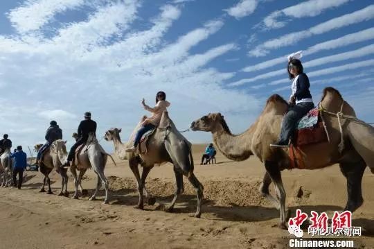 【聚焦】中國第七大沙漠“沙進人退”到“綠進沙退”的轉變